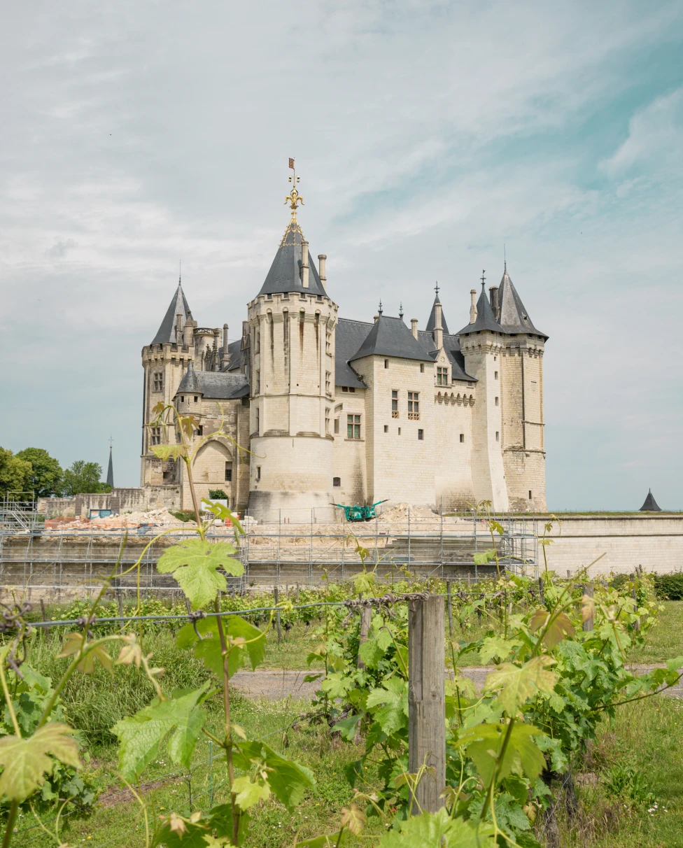 Vineyard in the foreground with a white castle in the background on a cloudy day