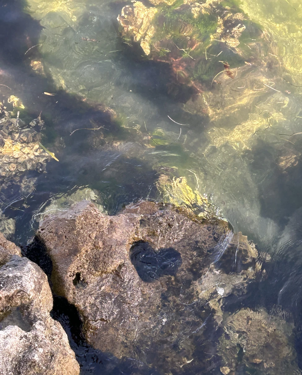 The heart of Florida is in Anna Maria Island.