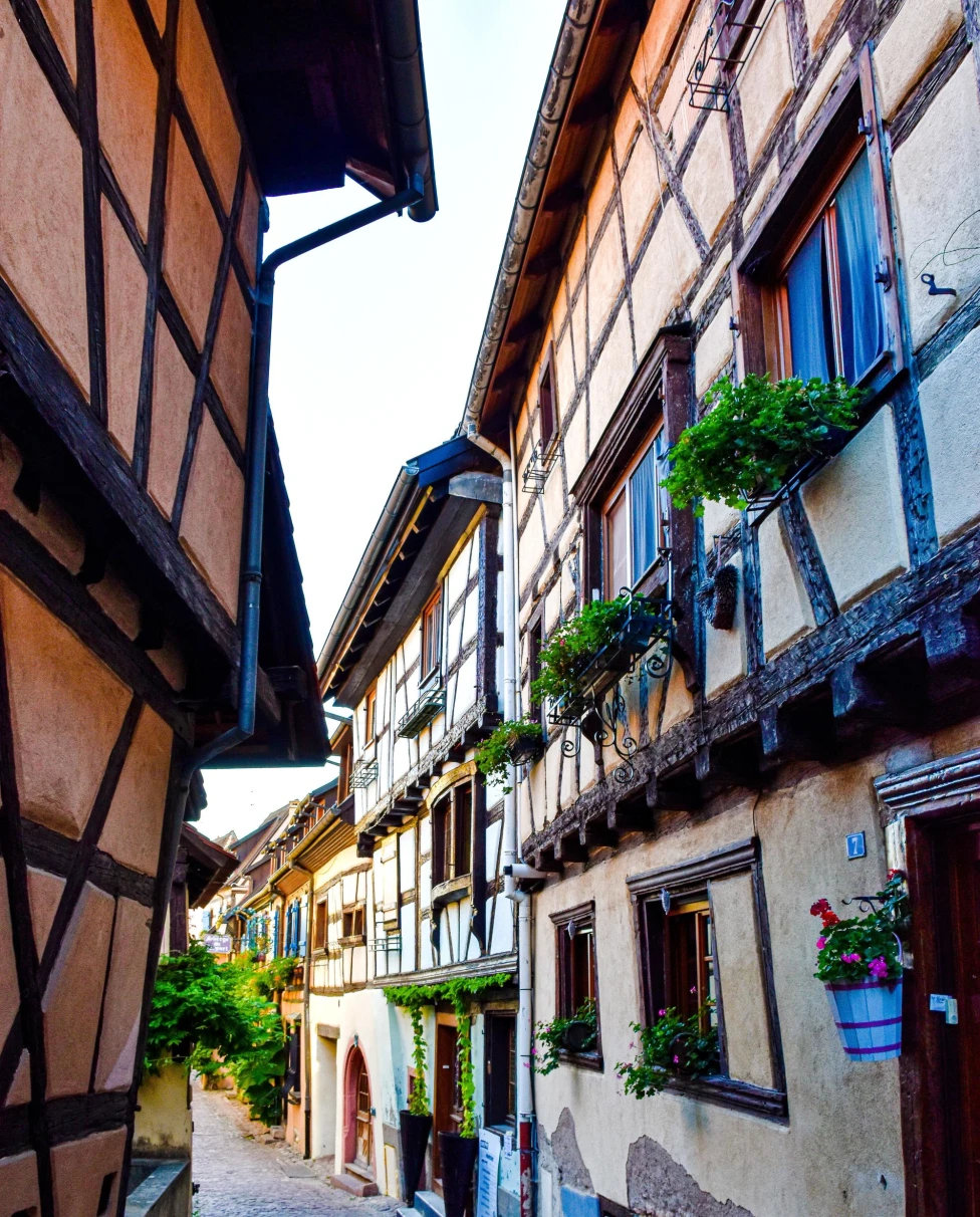 charming houses in a small village