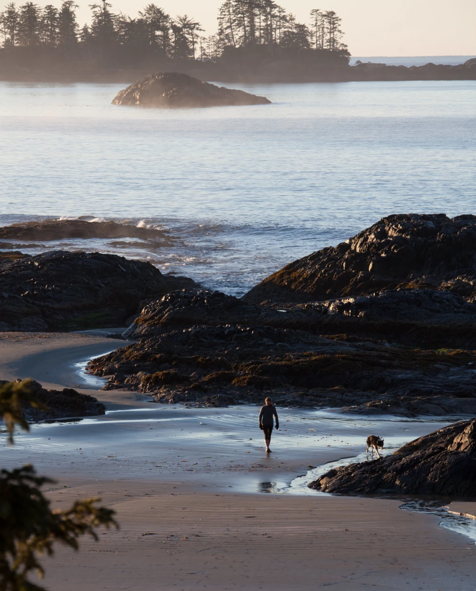 Chesterman Beach View from the Beach Building Jenn Dykstra