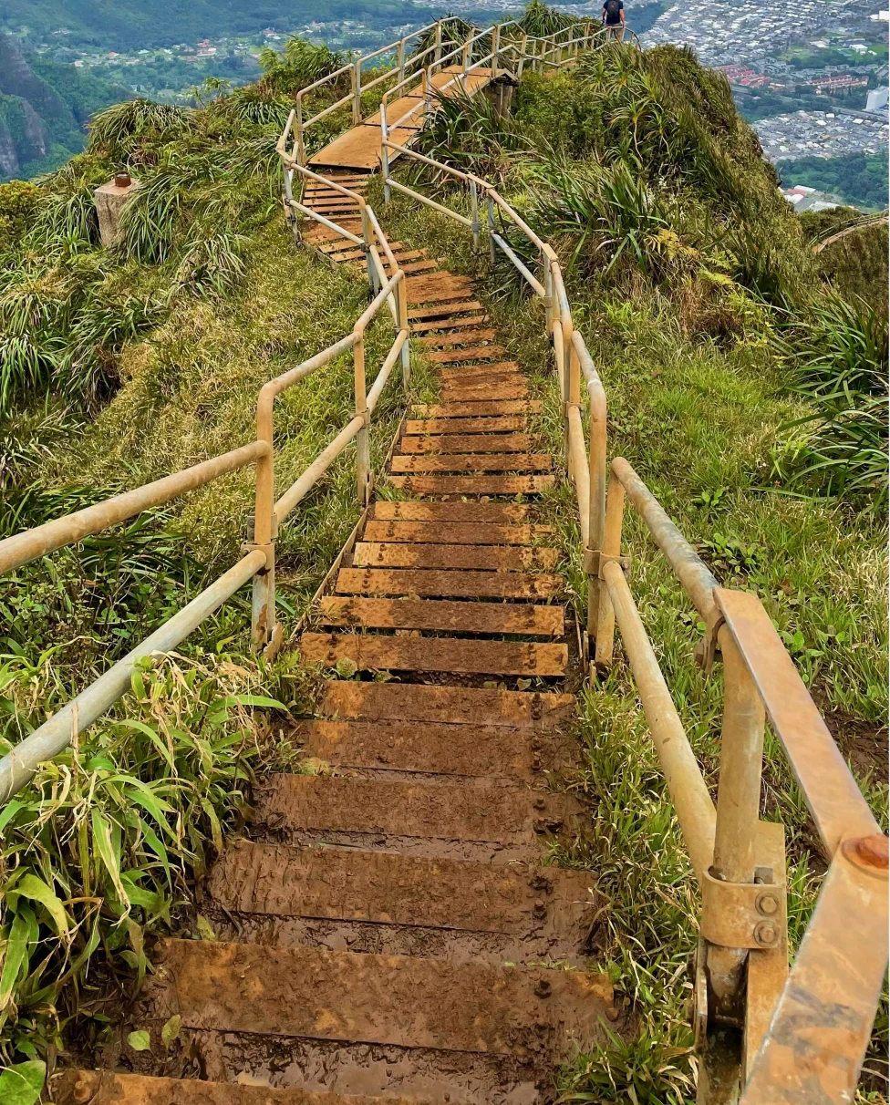 Wooden bridge on mountain overlooking ocean and city