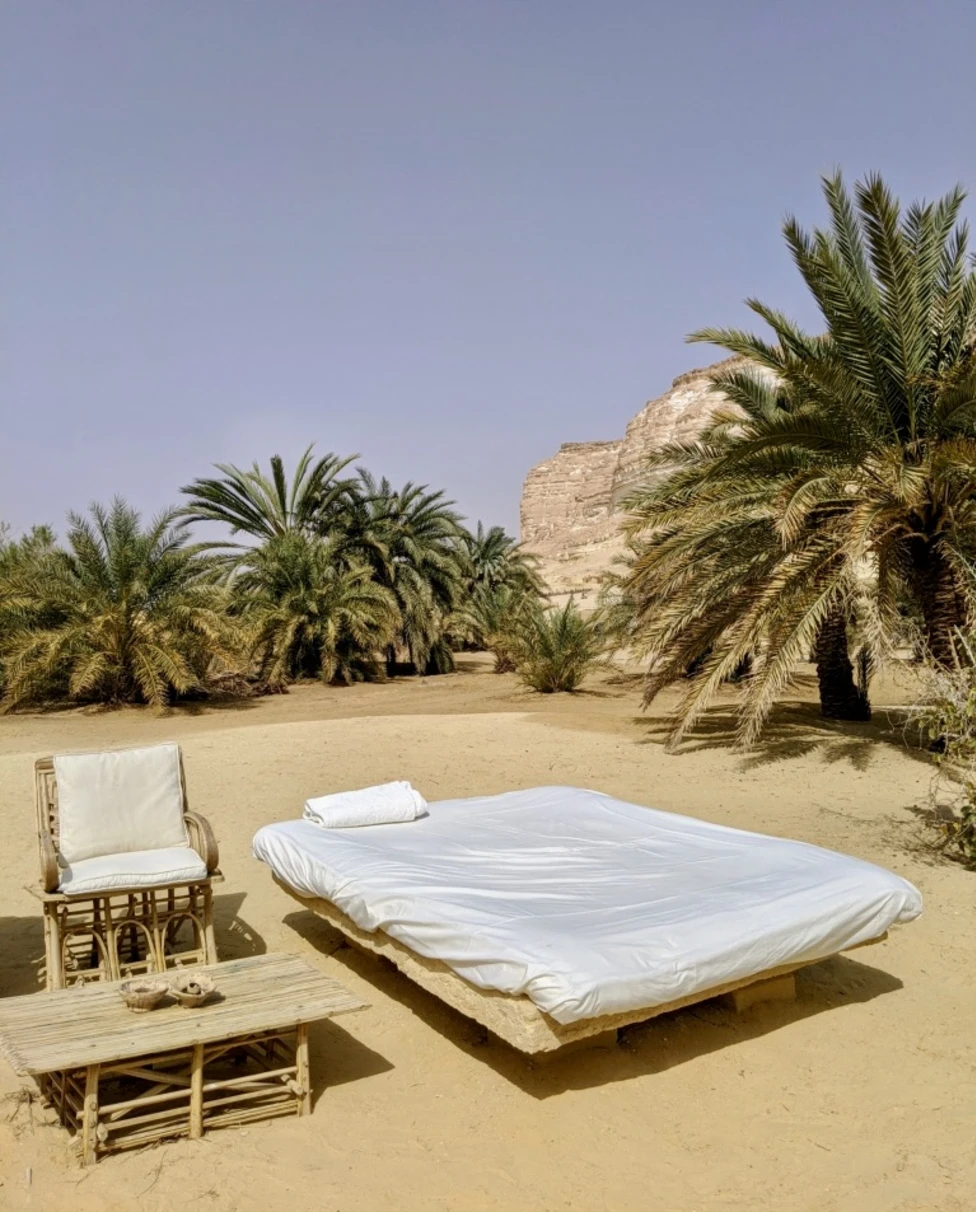 white bed next to chair and table surrounded by palm trees during daytime