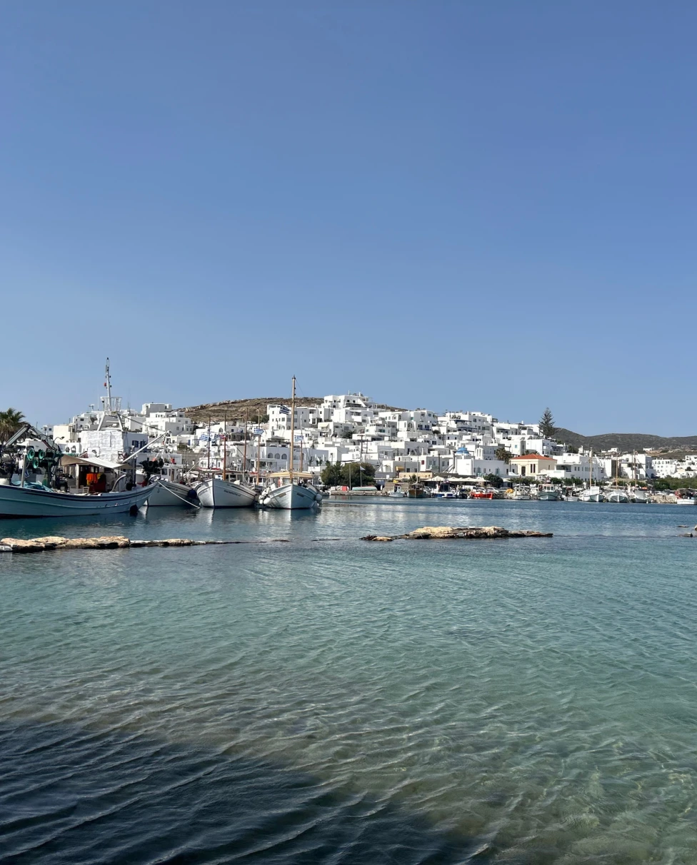 A scenic view of water surrounded by boats and white color houses at the shore.