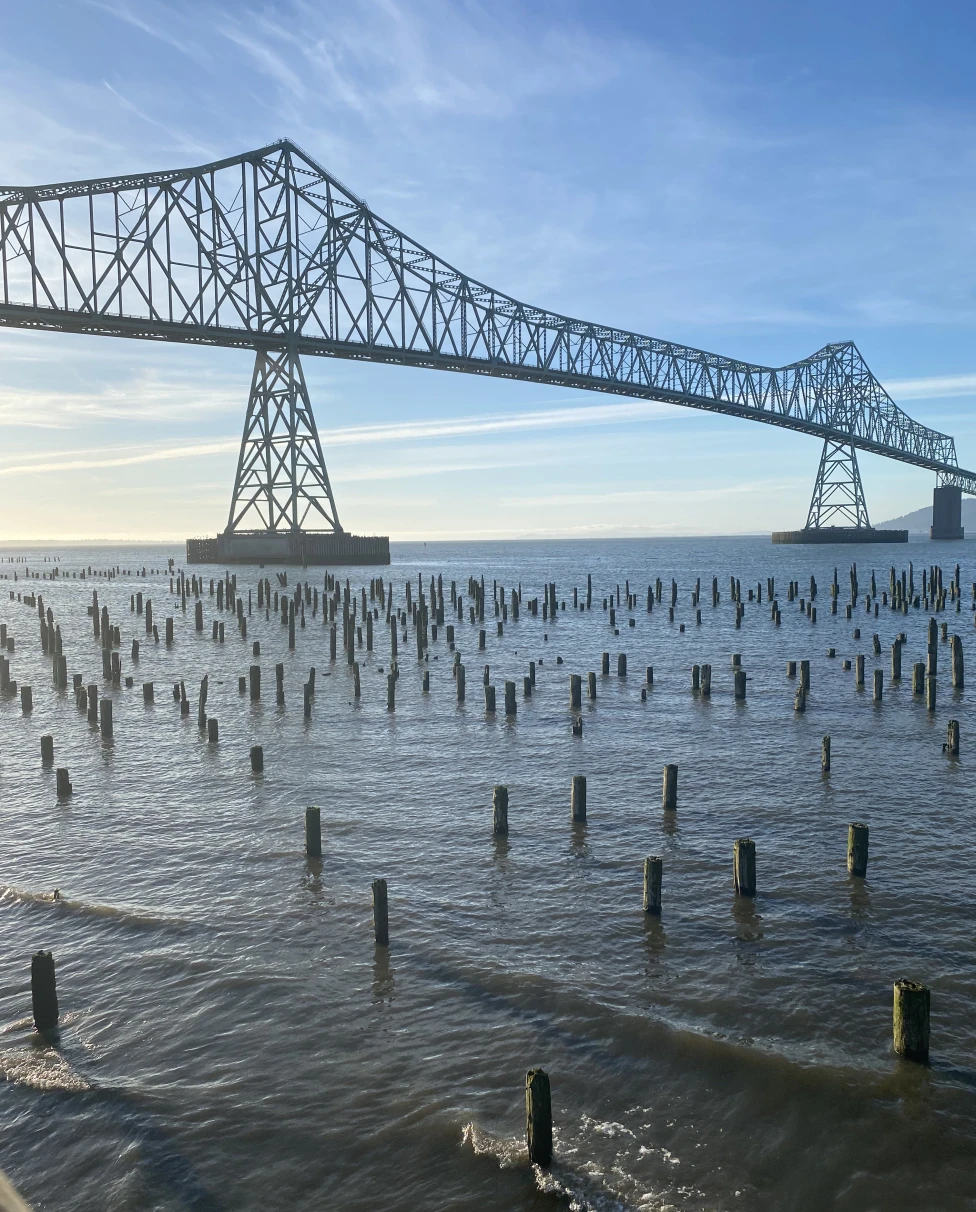 A photo of a bridge over a large body of water with wooden pillars placed inside the water.