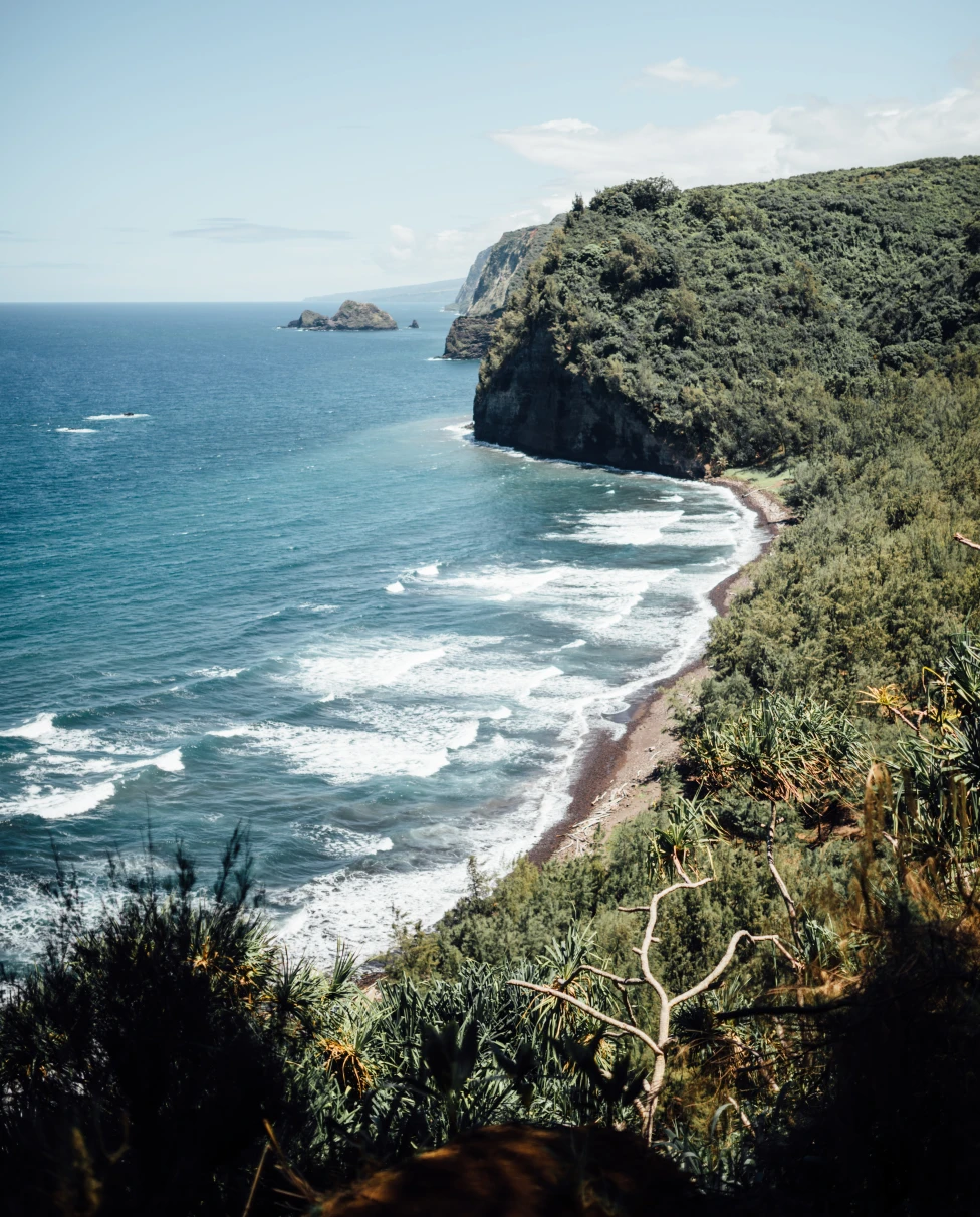coastline next to ocean during daytime