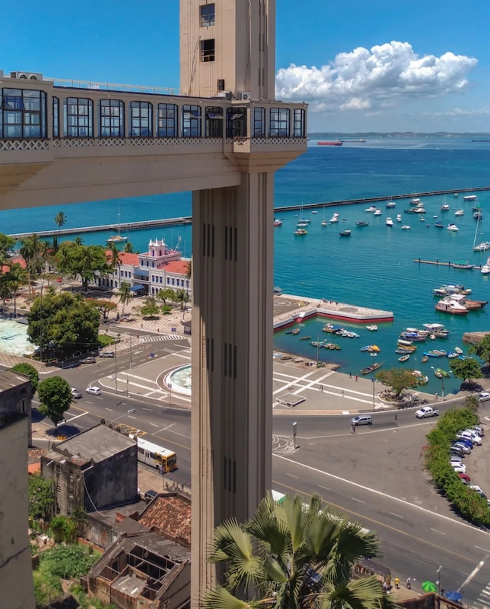 people on beach during daytime