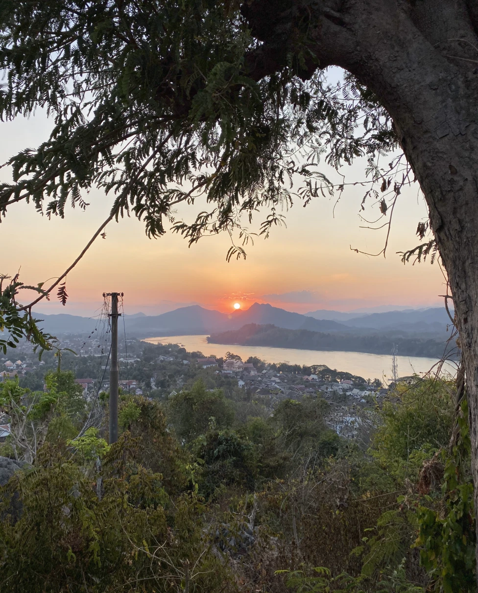 A sunset in the distance over a mountain range with a forest in the forefront