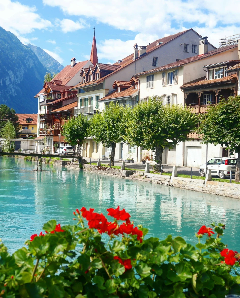 This picture depicts a picturesque Swiss town with traditional buildings, a clear turquoise river, mountains in the background and red flowers in the foreground.