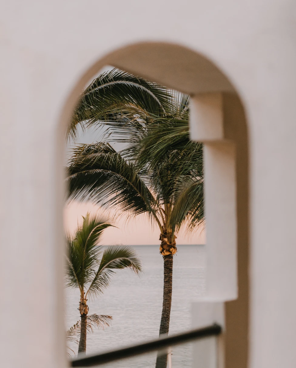 Two palm trees against the ocean.