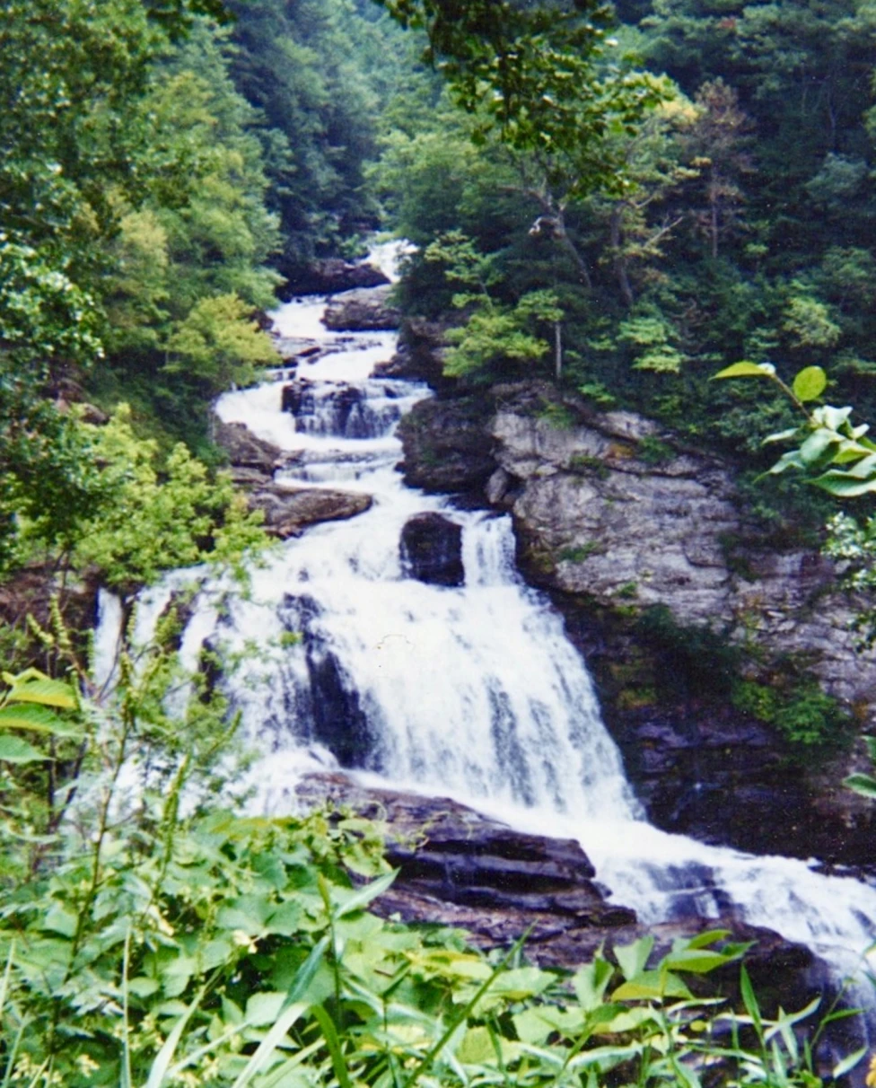 Waterfall surrounded by bright green plants and black rocks with light shining through.