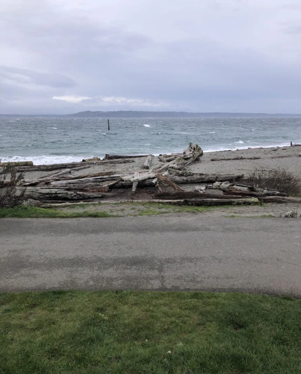 A picture taken from a far of the beach during daytime.