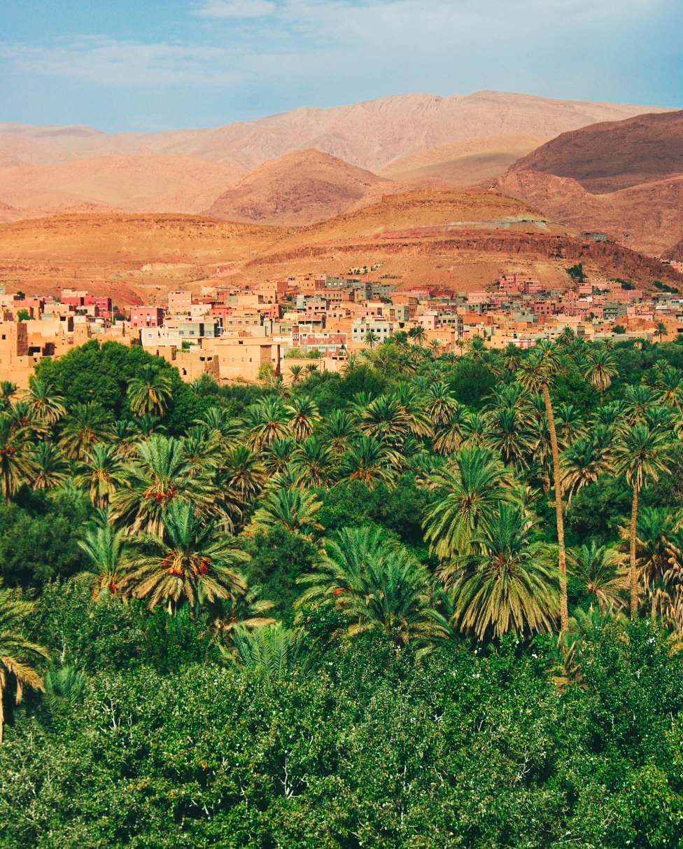 Green plants with houses and desert in the background during daytime