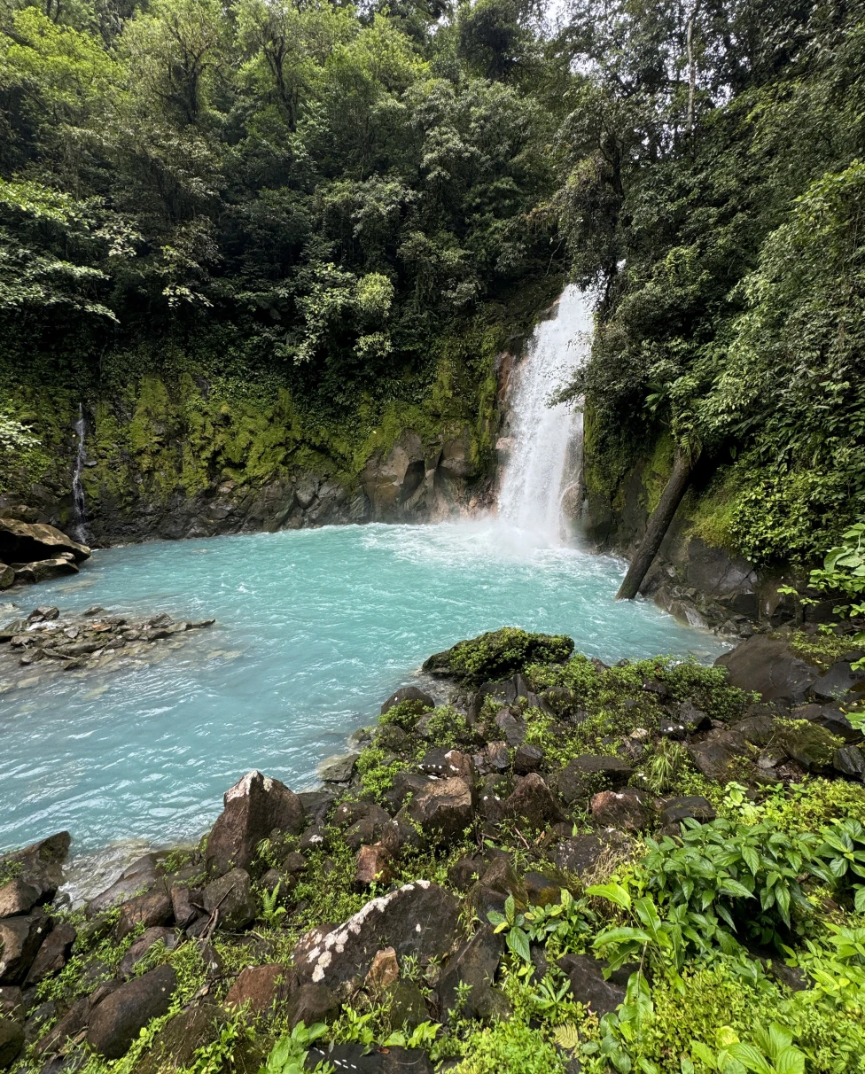 A waterfall landing in a bright blue body of water in a forest