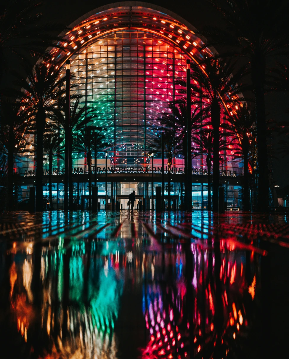 Palm trees in front of a rainbow-lit-up building at nighttime.