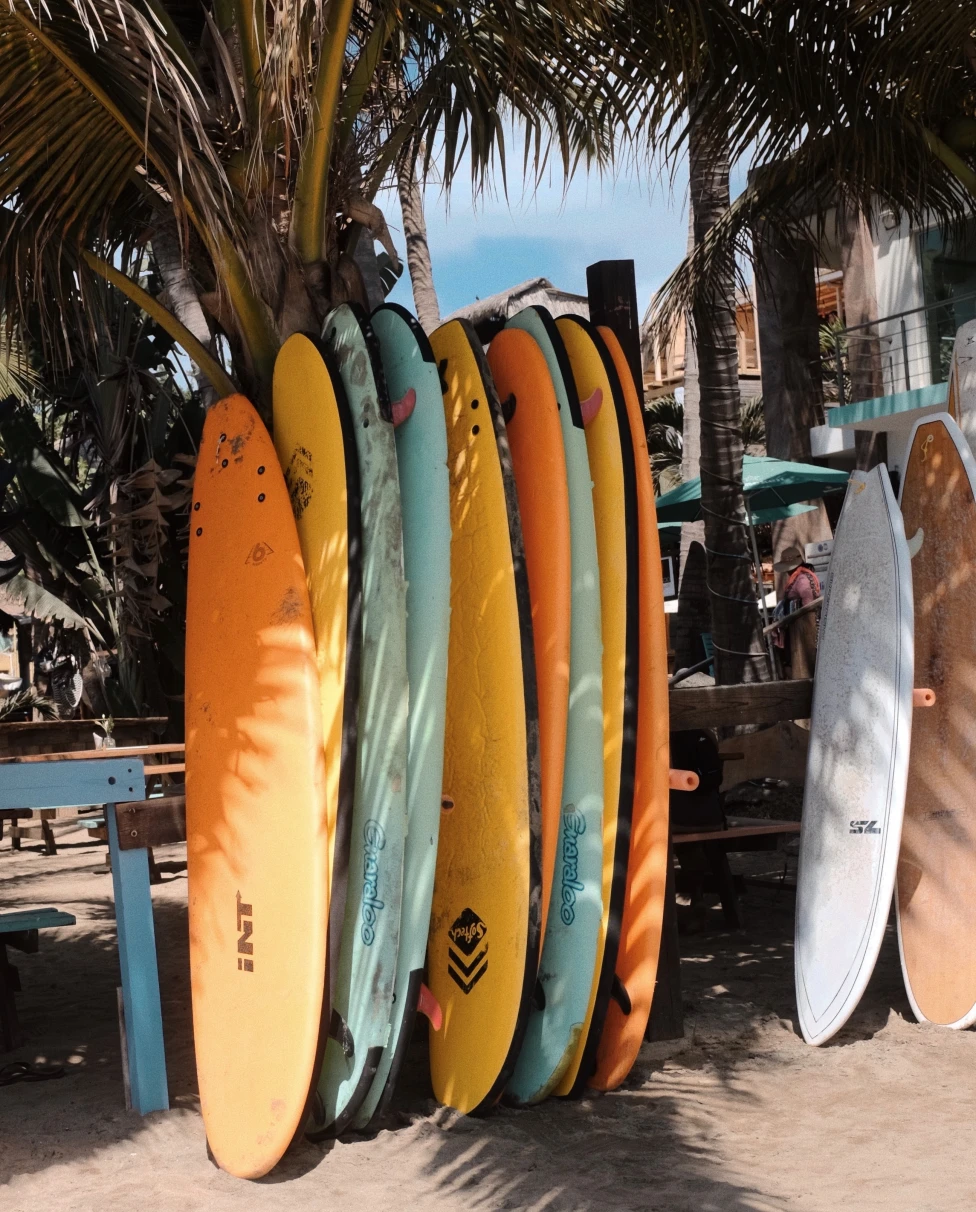 Colorful surfboards leaning against a palm tree in Sayulita.