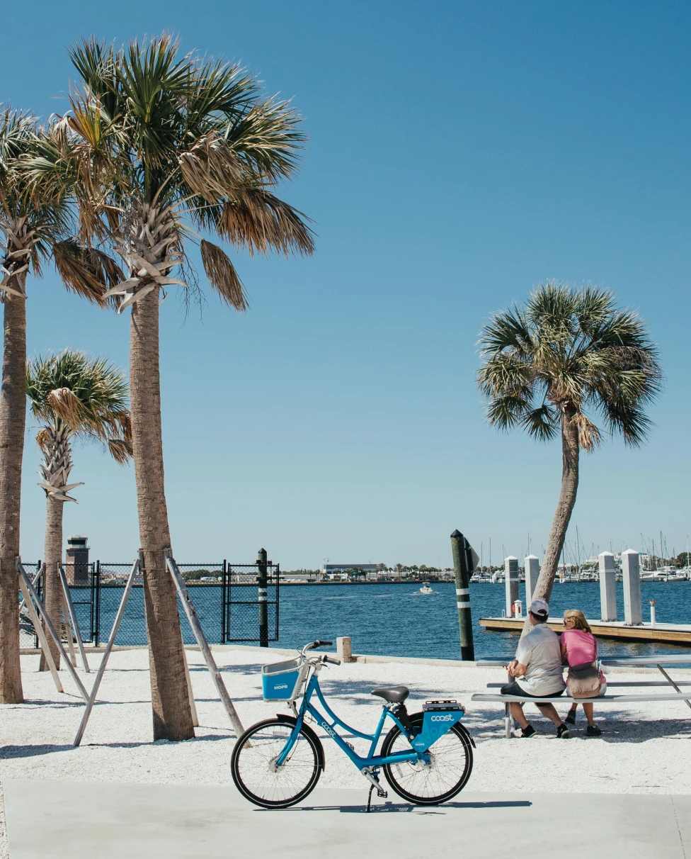 A picture of people on a boardwalk next to palm trees in Tampa.