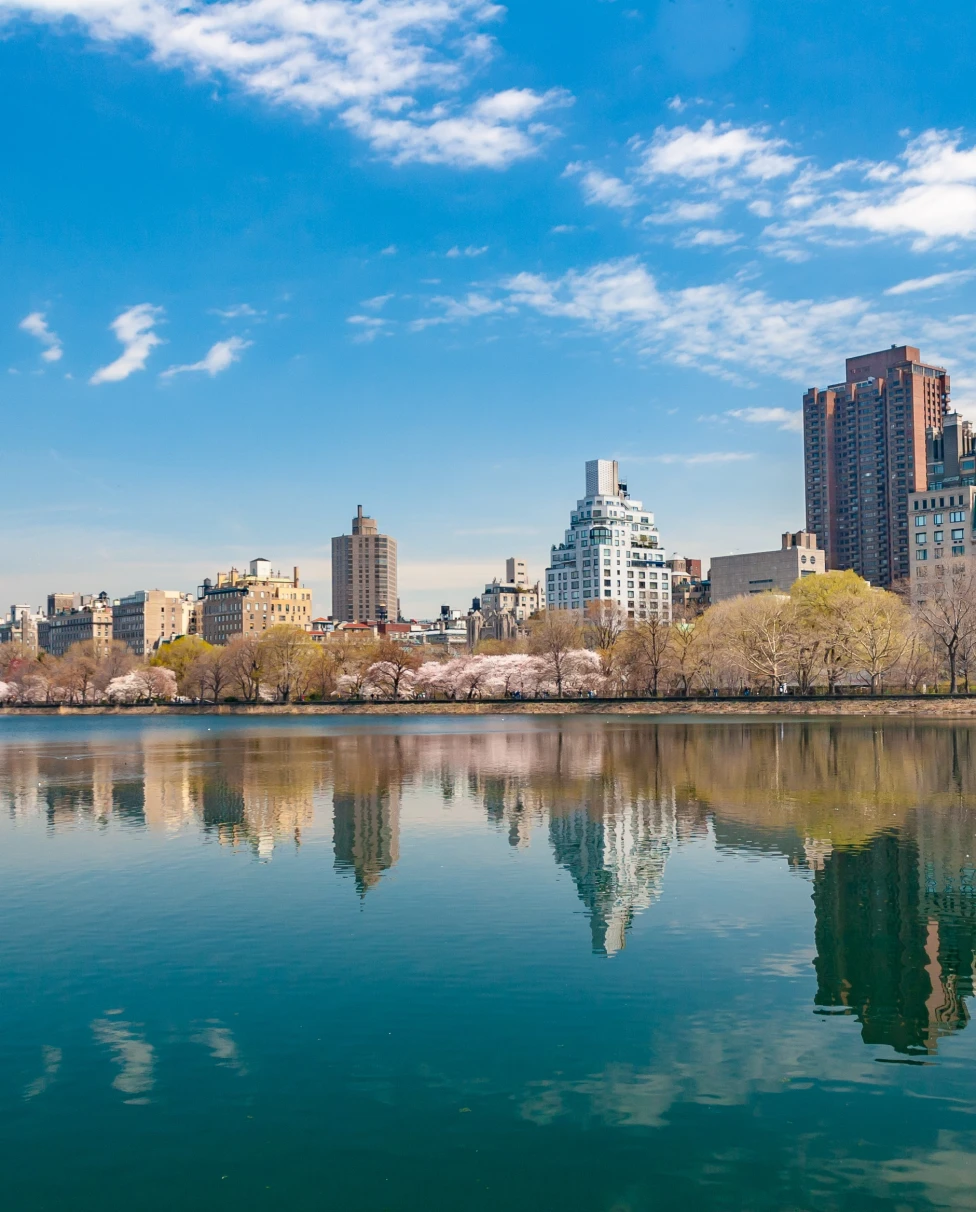Skyline of New Orleans.