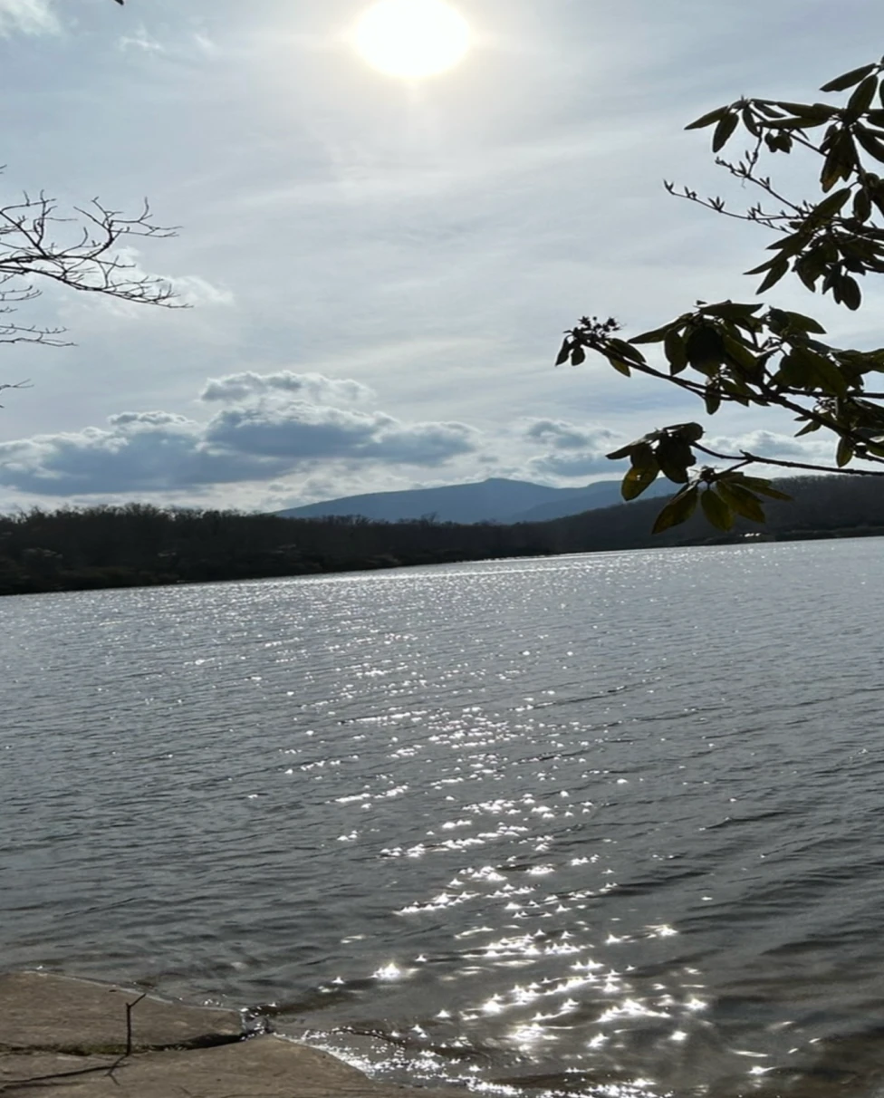 The image depicts a serene lakeside view with sunlight reflecting on the water’s surface, framed by foliage and a clear sky.