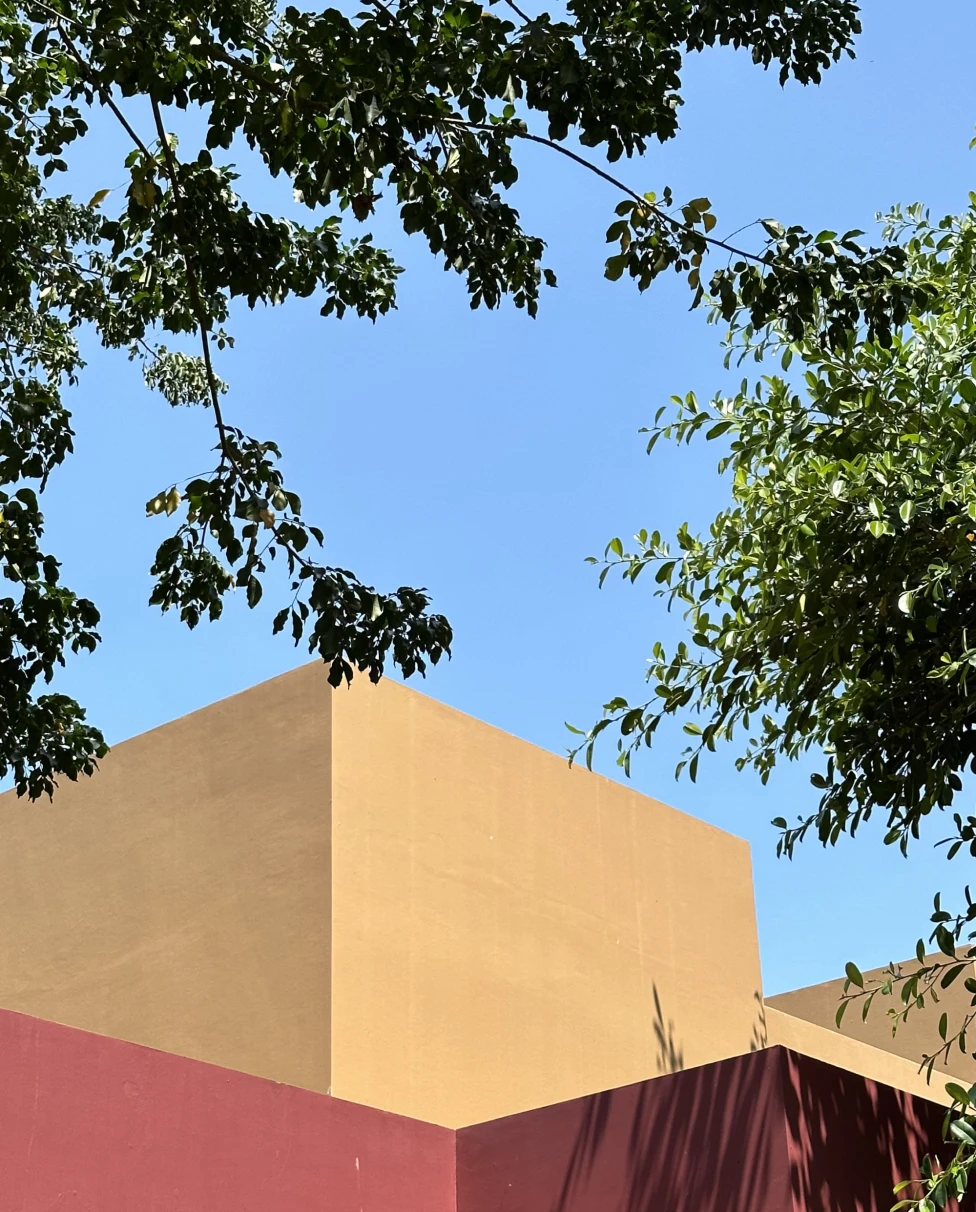 Tree in front of a block-like orange and red cement building.