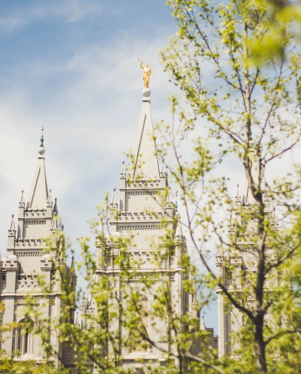white steeples seen through green branches