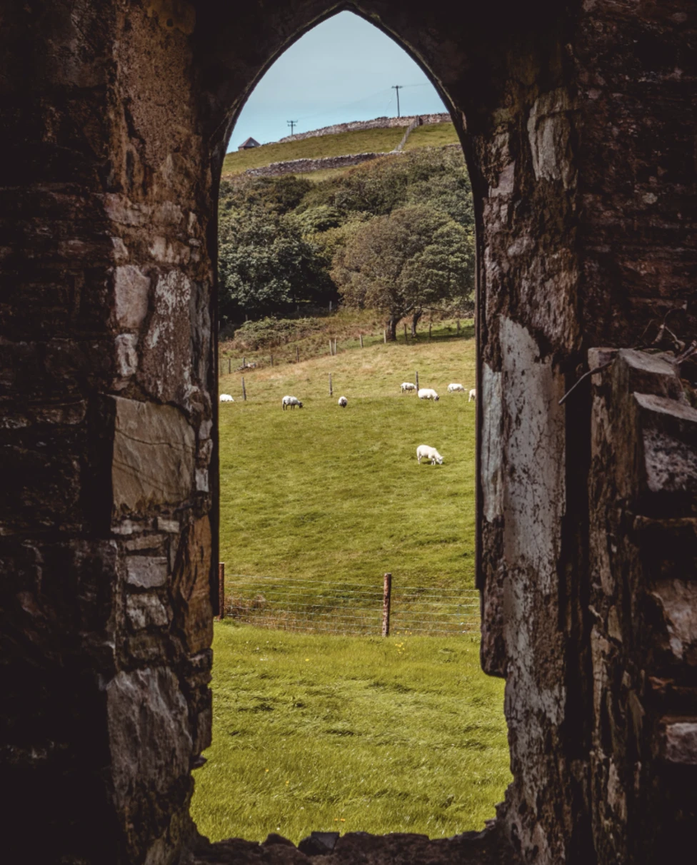 A stone window looking out to a meadow with sheep grazing.