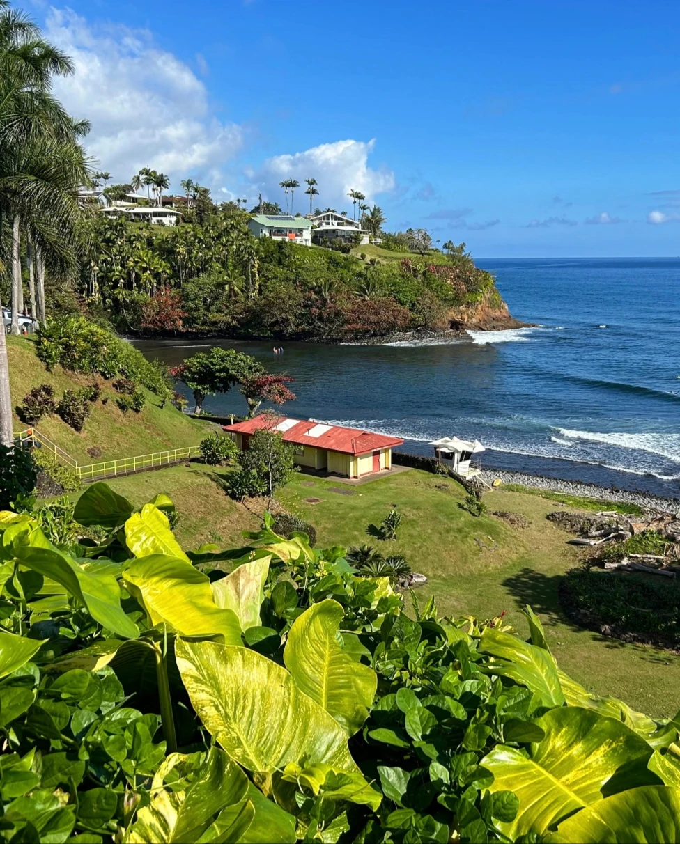 Blue ocean with houses and greenery on the beach.