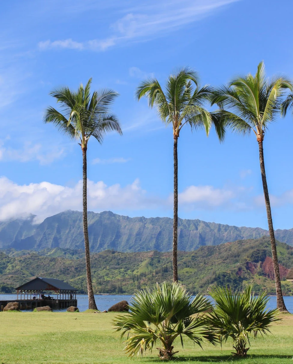 The view of Hanalei Bay is so serene with palm trees, clear skies and a mountain range in the distance.