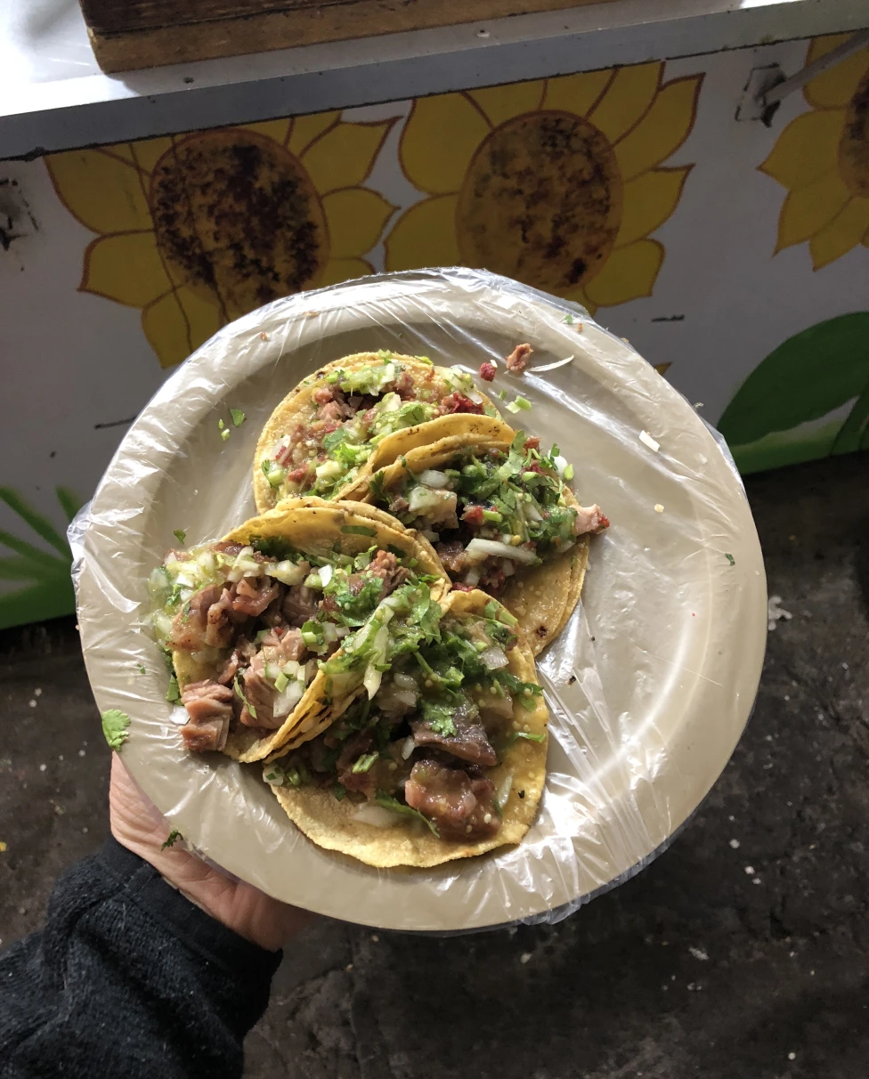 A plate of four traditional tacos
