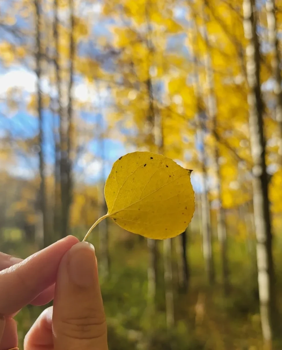 Fall season in Denver