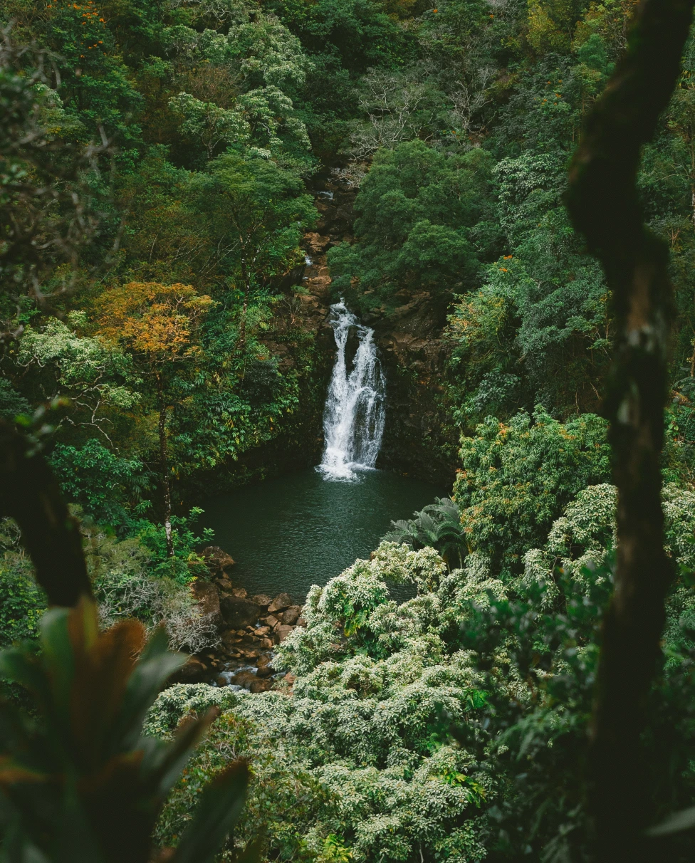 Waterfall surrounded by green forest during daytime