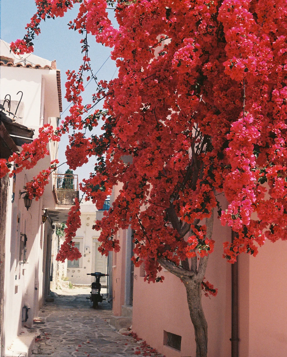 Driving to the quaint village Chalkio.