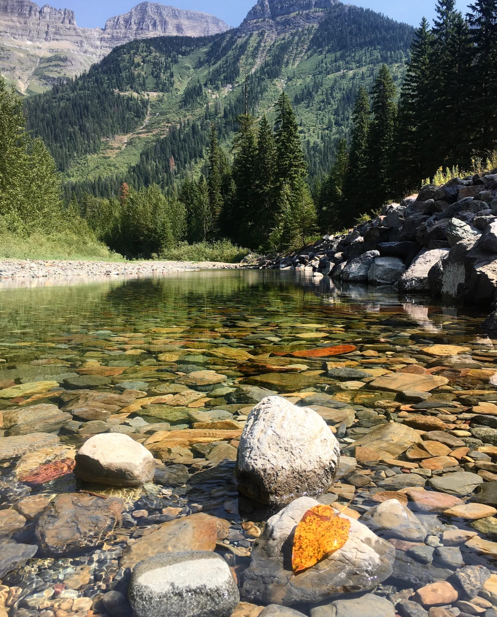 Montana is known for its rugged landscapes, stunning national parks, and rich Western heritage.