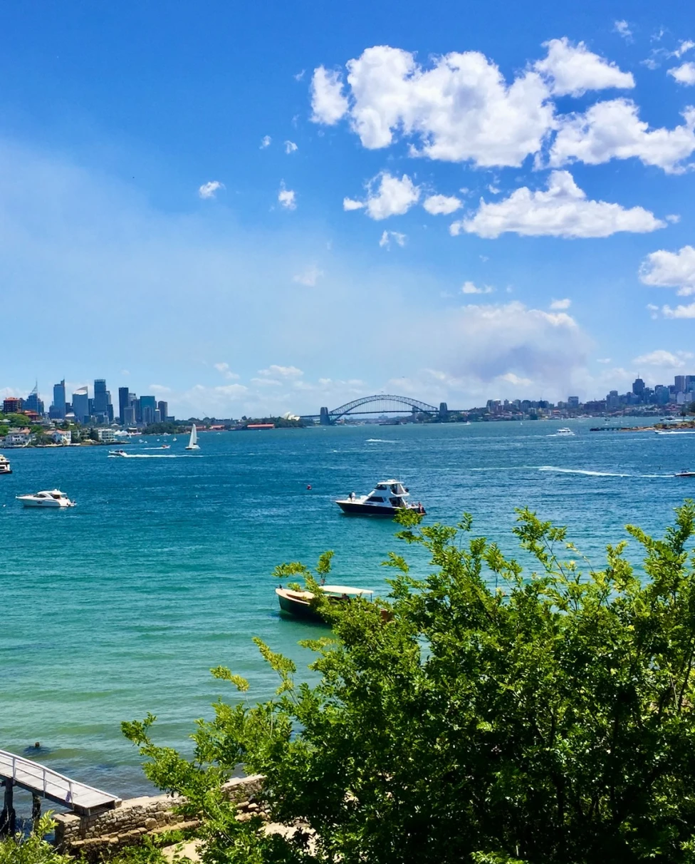 Boats in a body of water with a city skyline in the distance