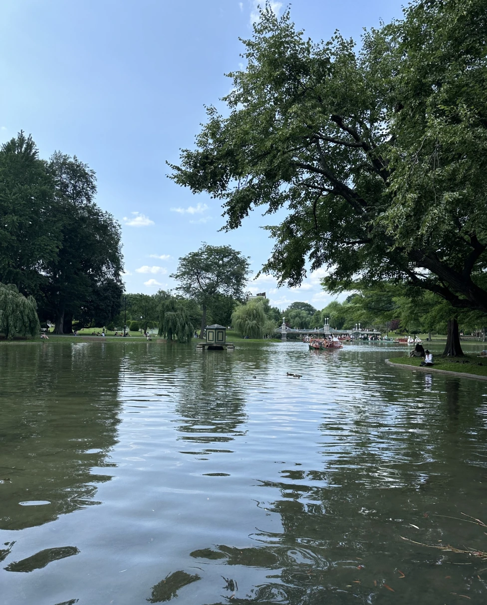 A body of water outside with green trees and a clear, blue sky above