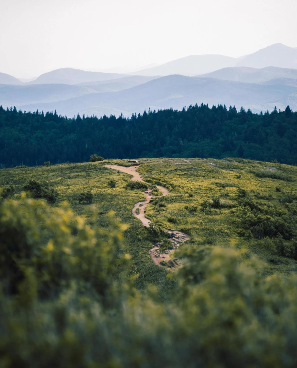 path with mountains in the background during daytime