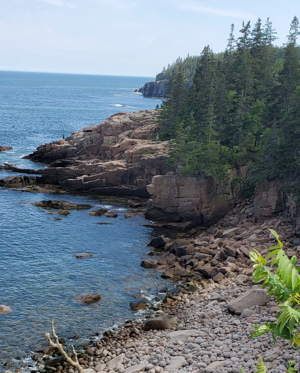 The image shows a rocky shoreline with green foliage and purple flowers in the foreground, leading to a blue sea and a clear sky.