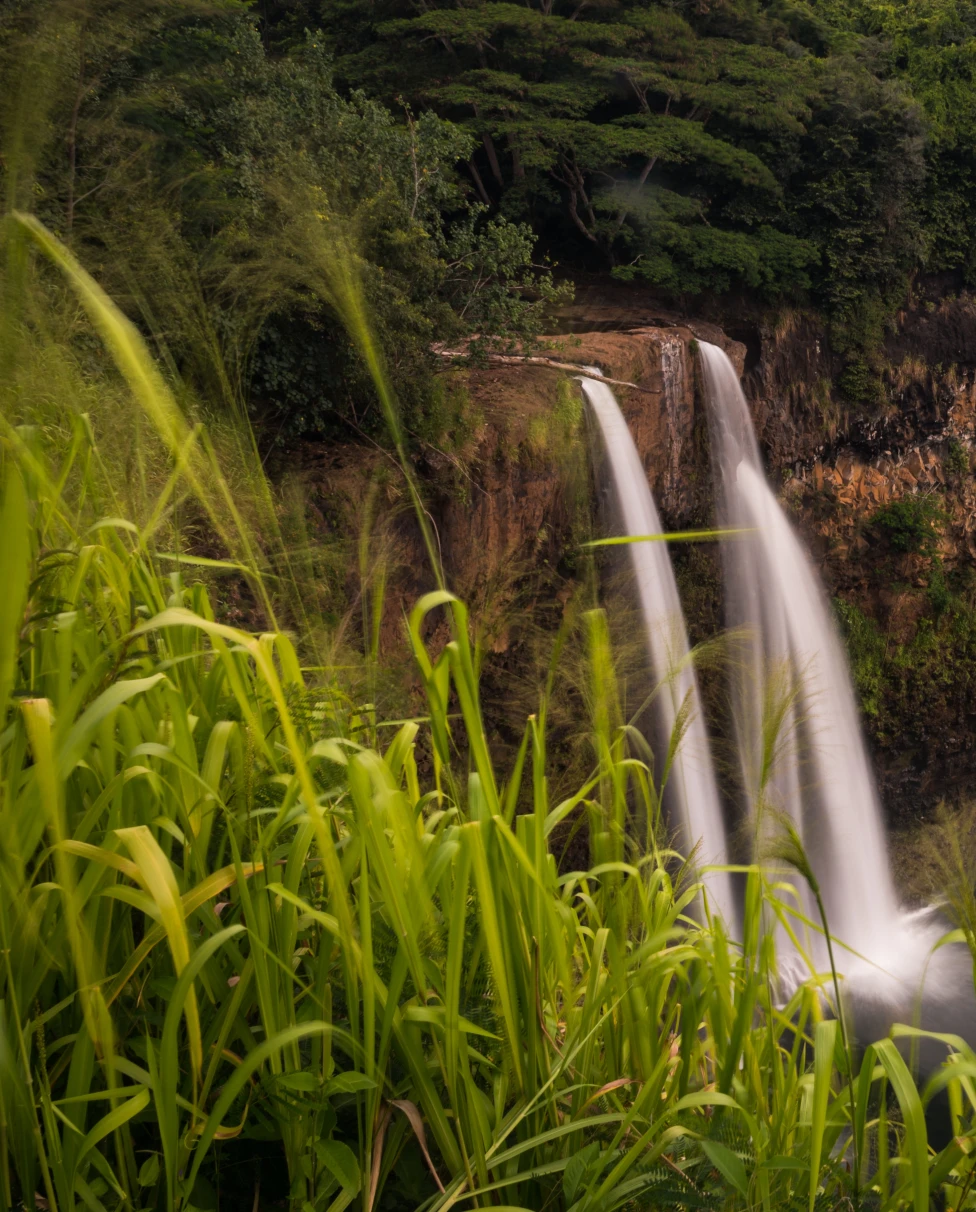 A waterfall in the middle of a rainforest.