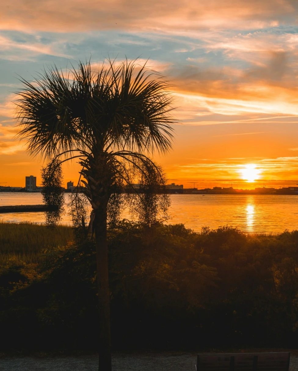 Sunset on a waterbody between trees.