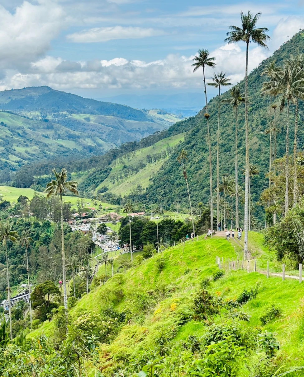 The image shows a lush green valley with tall wax palm trees under a partly cloudy sky.