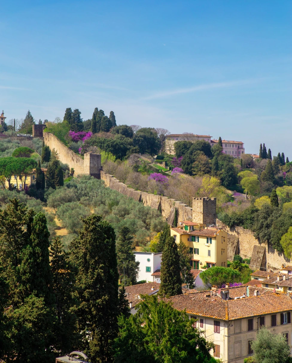 view of rooftops and trees on hillside ancient town on sunny day