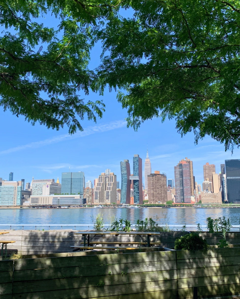 A city skyline is viewed across a body of water, with green foliage in the foreground under a clear blue sky.