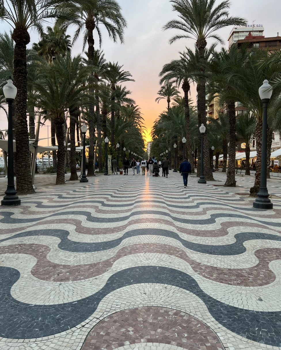 broad view of pathway