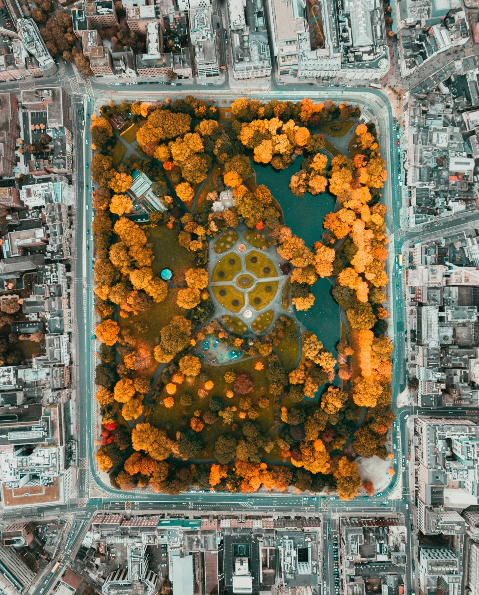 Ireland in October as seen from above, with fall-colored trees in the center of gray buildings in Dublin.