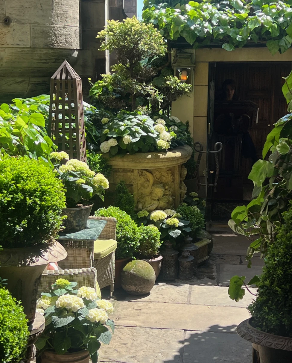 A sunny garden alcove with hydrangeas and a stone fountain, at a place to get afternoon tea Edinburgh.