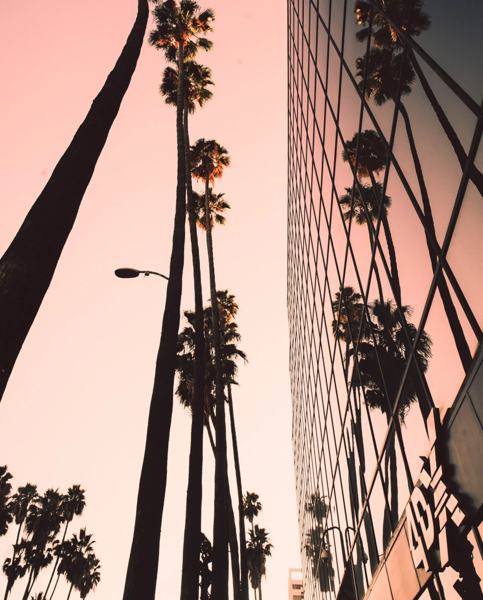 Los Angeles is the vibrant heart of the entertainment industry, where palm-lined streets, diverse cultures, and endless sunshine come together in a sprawling urban tapestry.