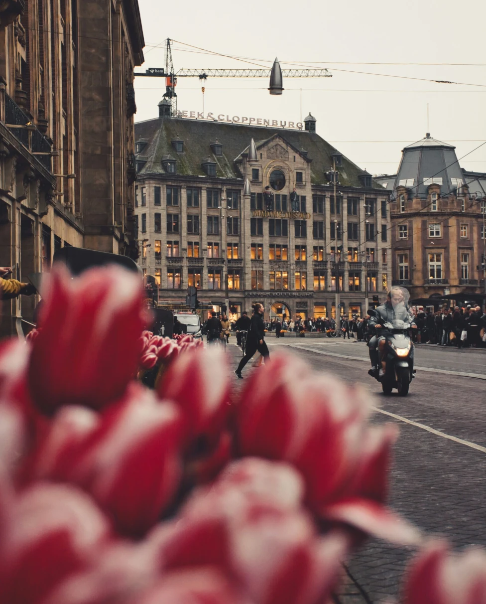 Vibrant red tulips are in focus with a bustling street scene softly blurred in the background.