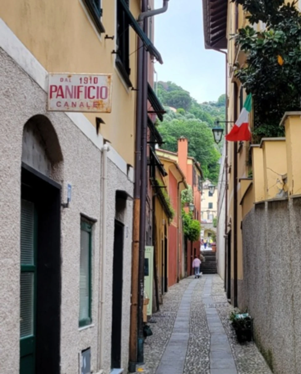 A narrow alleyway with cobblestone pavement between buildings