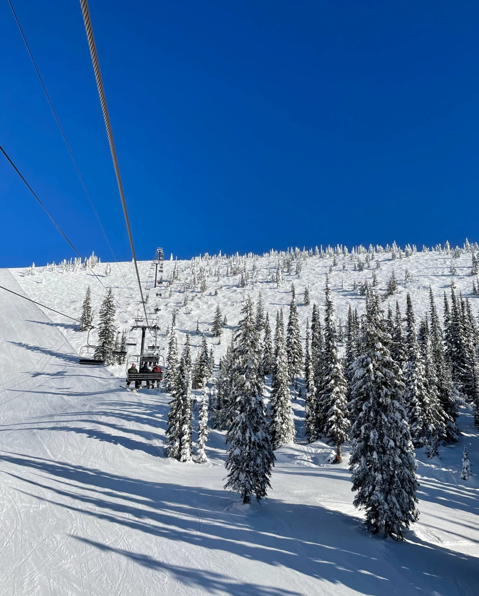 Snow-covered trees next to ski lift with blue skies during daytime