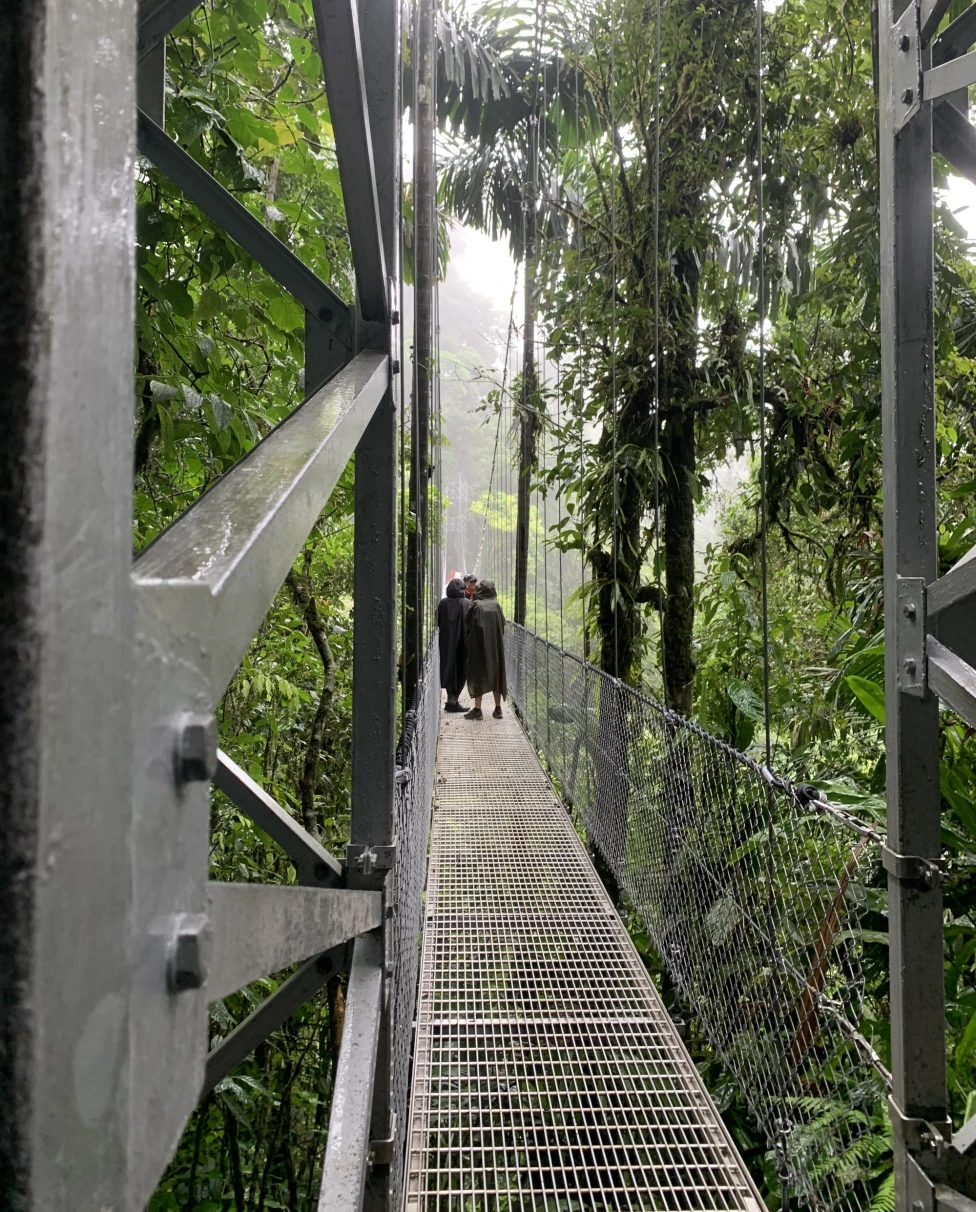 People walk on a wooden rope bridge through the rainforest.