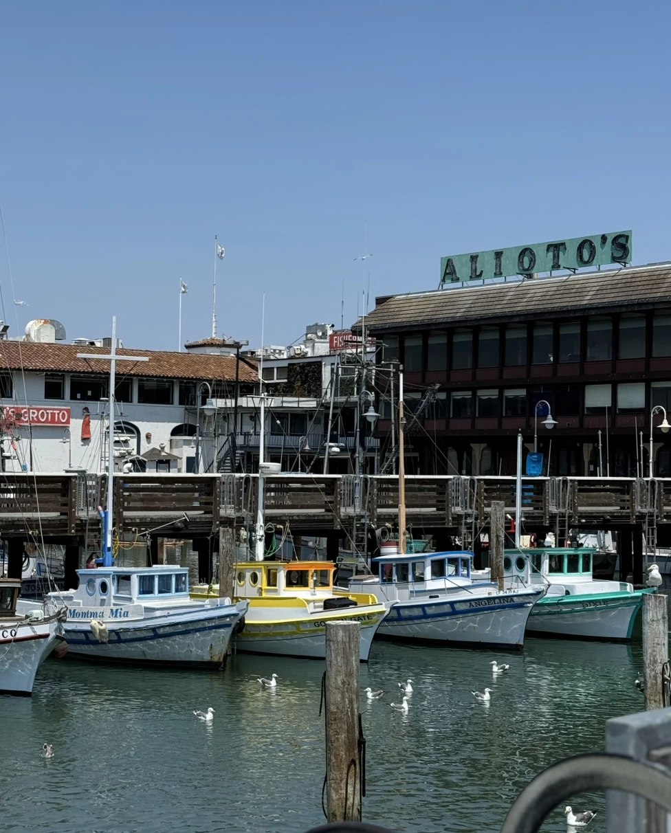 A waterfront scene with boats docked at a pier seagulls flying, and a building with the sign “ALIOTO’S” in the background.
